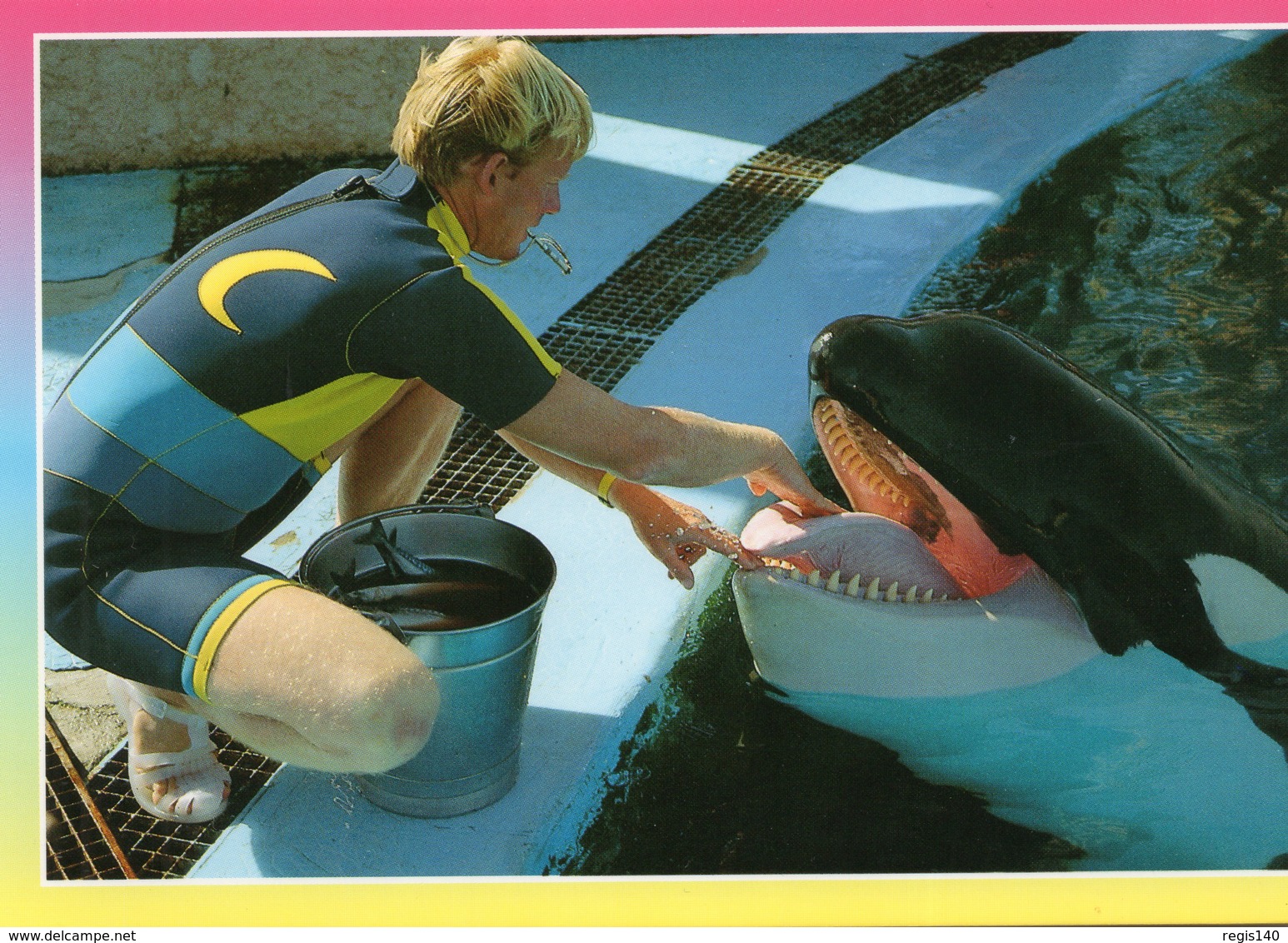 Marineland Côte D'azur - ANTIBES (Alpes-Maritimes) Orques : Un Calin Apprécié - Autres & Non Classés