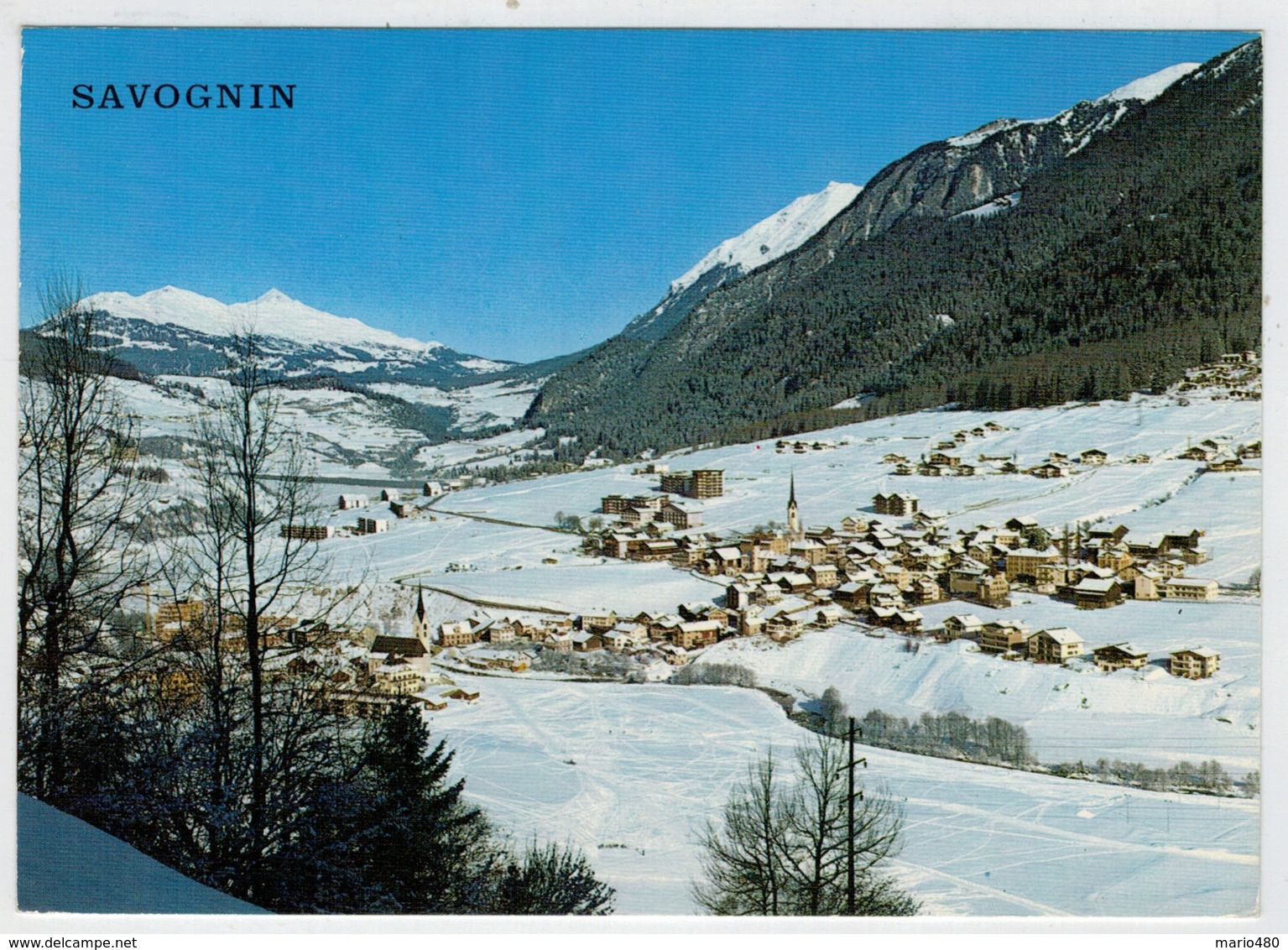 SAVOGNIN   BLICK  GEGEN SCALOTTAS UND STATZERHORN      2  SCAN     (VIAGGIATA) - Savognin