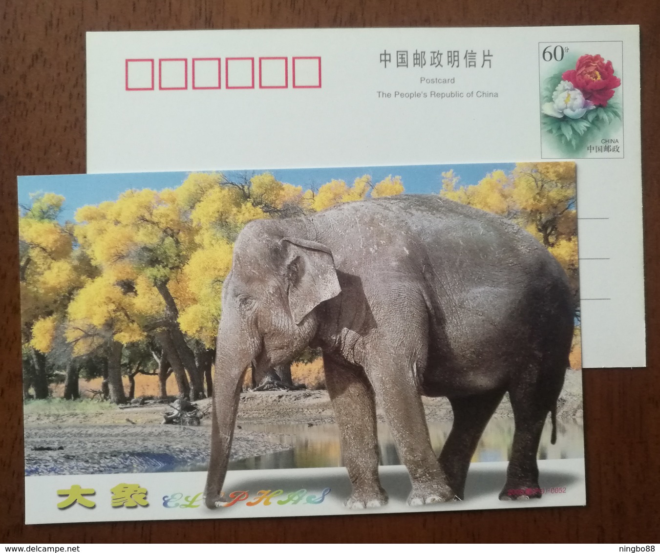 Elephant,China 2000 Zhejiang Nature Museum Advertising Pre-stamped Card - Elephants