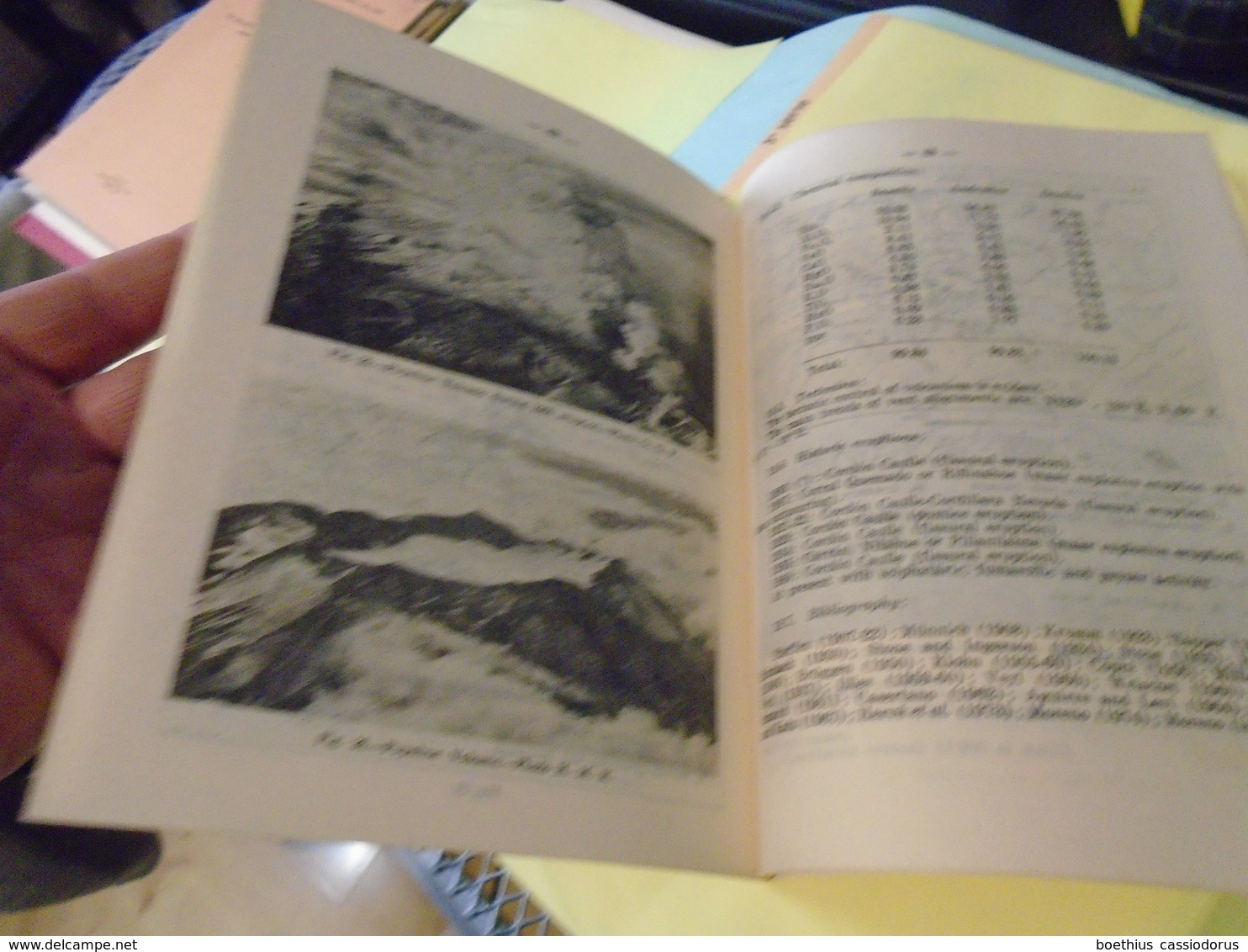 CHILI : AIRPLANE FLIGHT OVER ACTIVE VOLCANOES OF CENTRAL - SOUTH CHILE Guide Book - Excursion D-3 - Geología