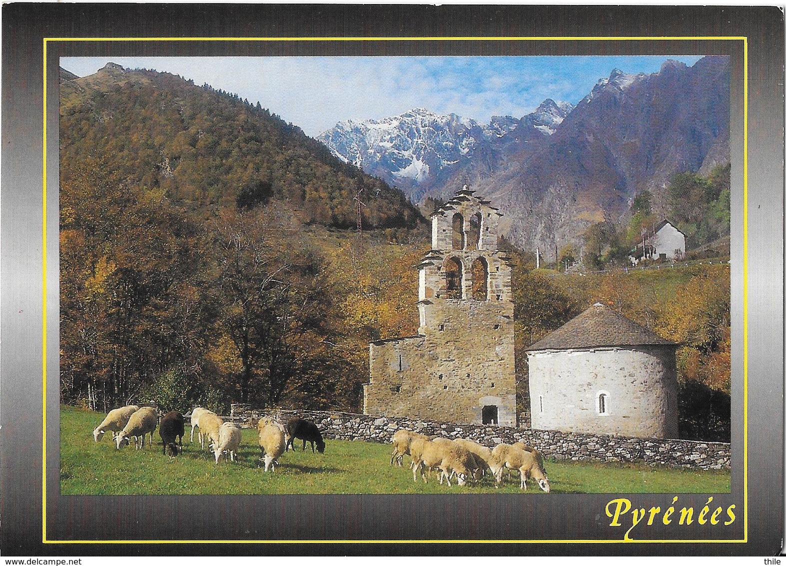 Pyrénées - Aragnouet - Chapelle Des Templiers - Moutons - Aragnouet