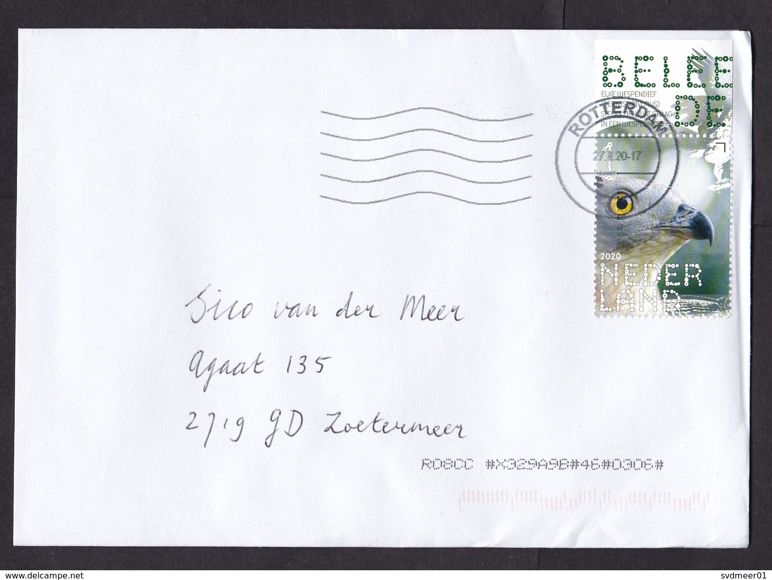 Netherlands: Cover, 2020, 1 Stamp + Tab, Honey Buzzard, Osprey Bird, Animal (traces Of Use) - Storia Postale