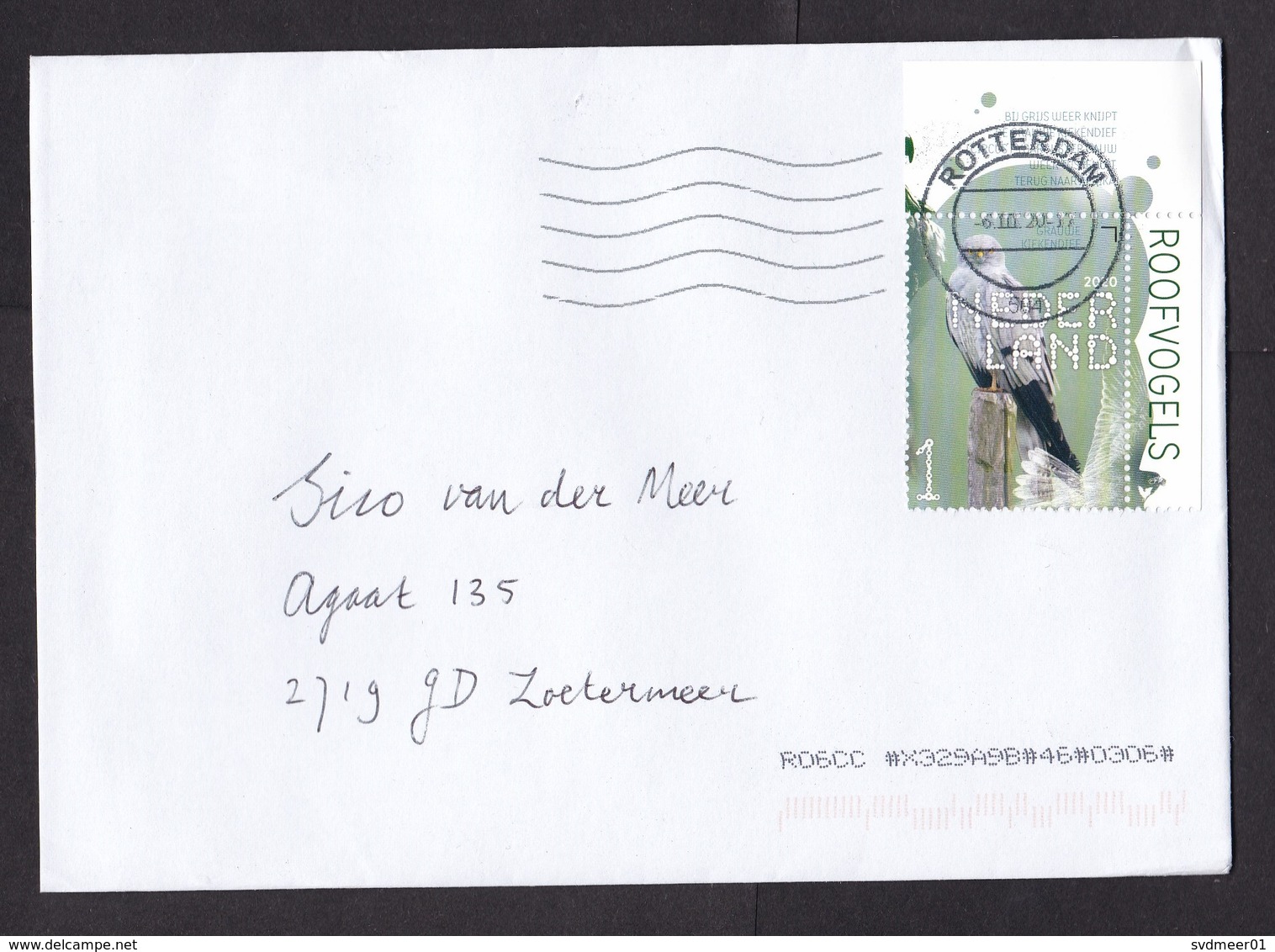 Netherlands: Cover, 2020, 1 Stamp + Tab, Grey Harrier Bird, Animal (traces Of Use) - Storia Postale