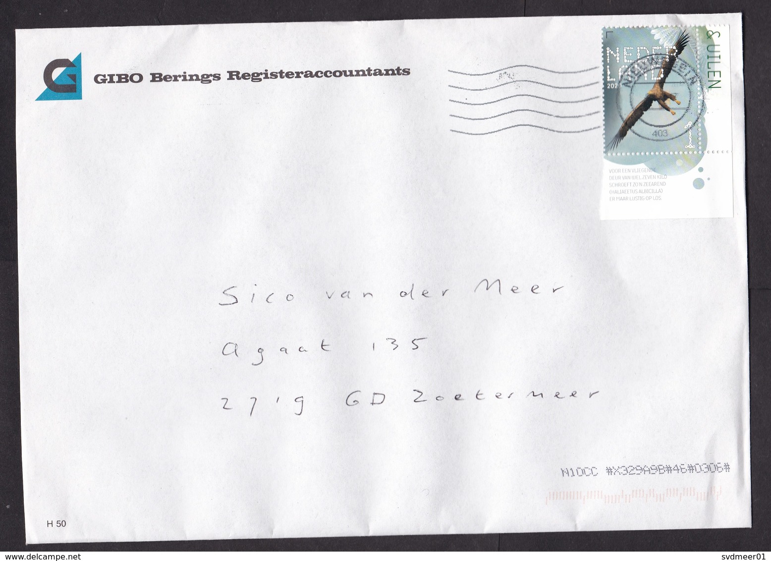 Netherlands: Cover, 2020, 1 Stamp + Tab, Sea Eagle Bird, Animal (minor Crease) - Covers & Documents