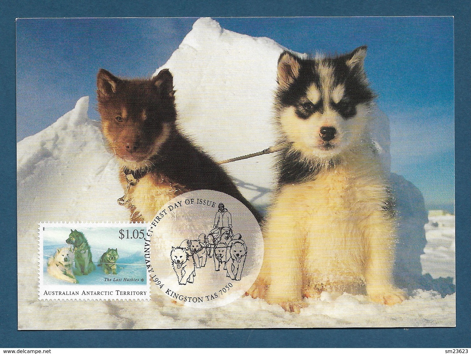 Australian Antarctic Territory 1994 Mi.Nr. 101 , The Last Huskie - Maximum Card - First Day Of Issue 13 January 1994 - Maximumkarten