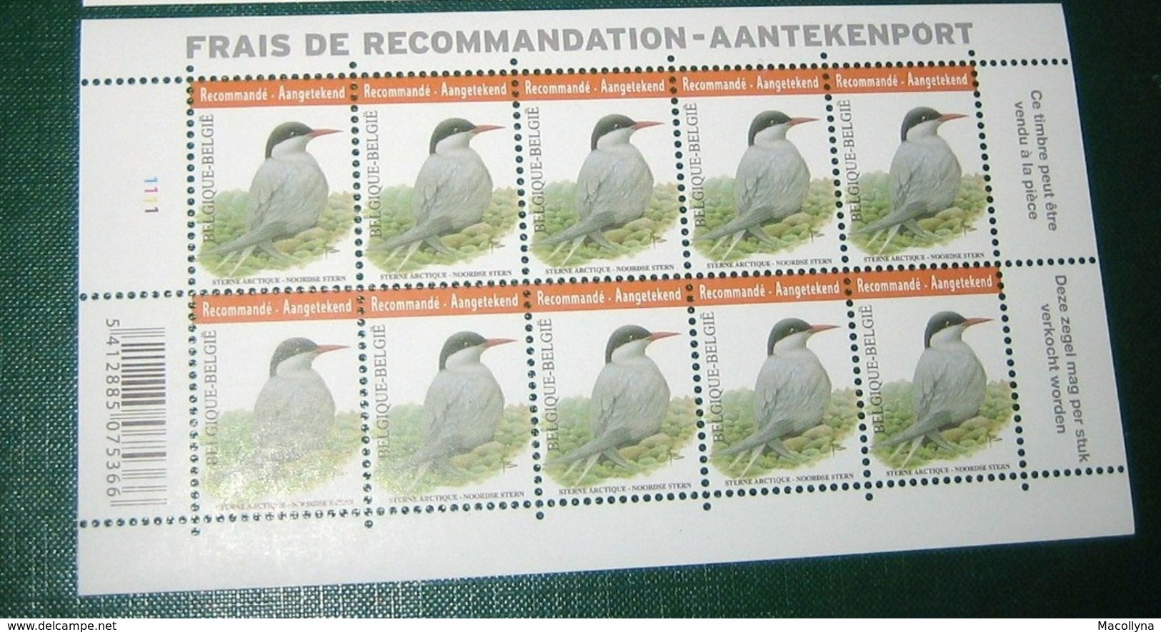 BUZIN 4306** Noordse Stern / Sterne Arctique** Mnh PL 1- Zegels Voor Aangetekende Zending / Timbres Recommandée - 1985-.. Birds (Buzin)