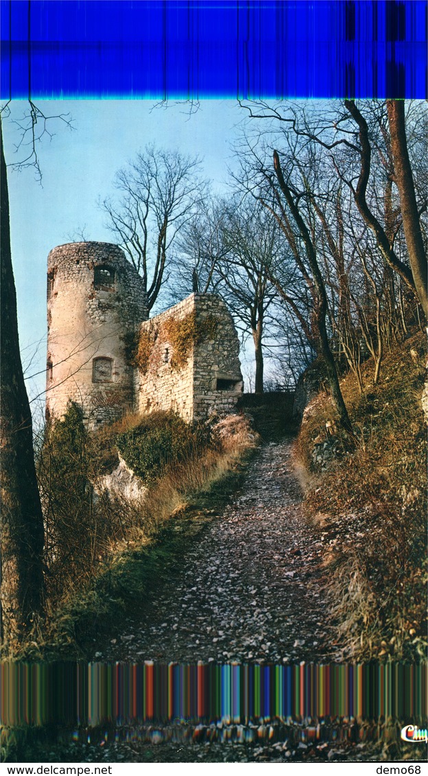 Ferrette 68 Hyper Grande Photo-carton Ruines Du Château De Ferrette Ed Combier Cim (VOIR DETAILS DESCRIPTIONS) - Ferrette