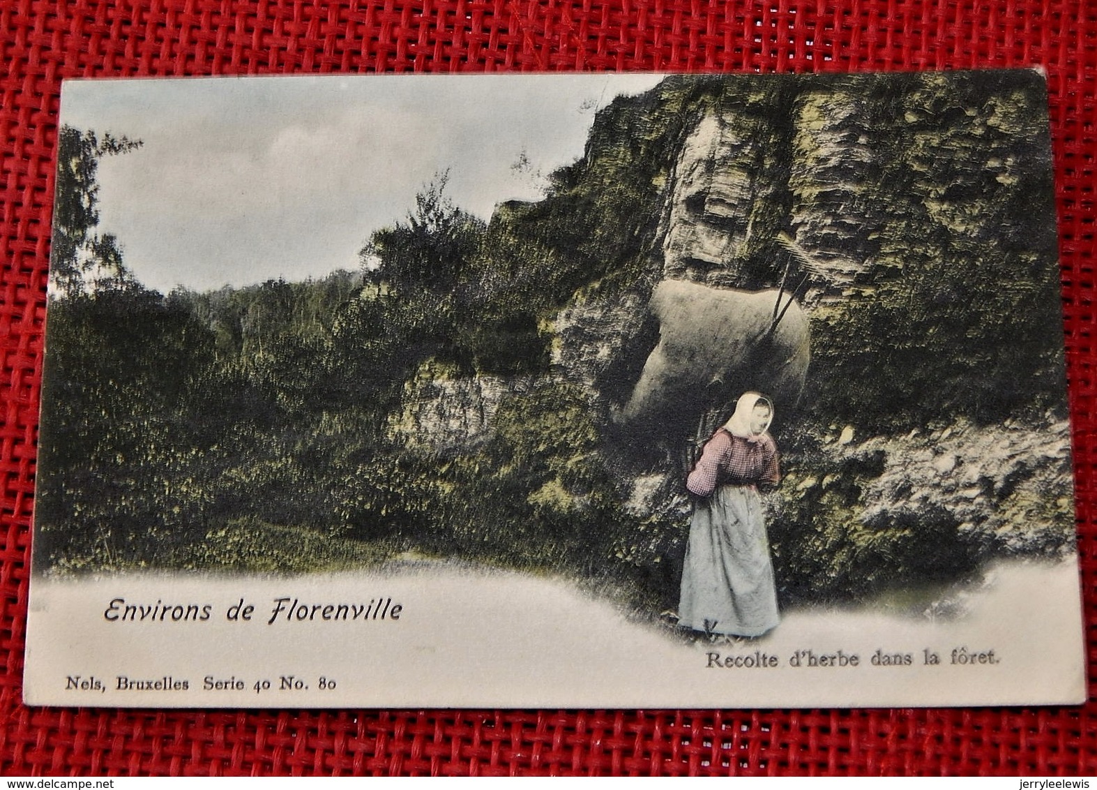 FLORENVILLE  - Récolte D'herbe Dans La Forêt  -  1903 - Florenville