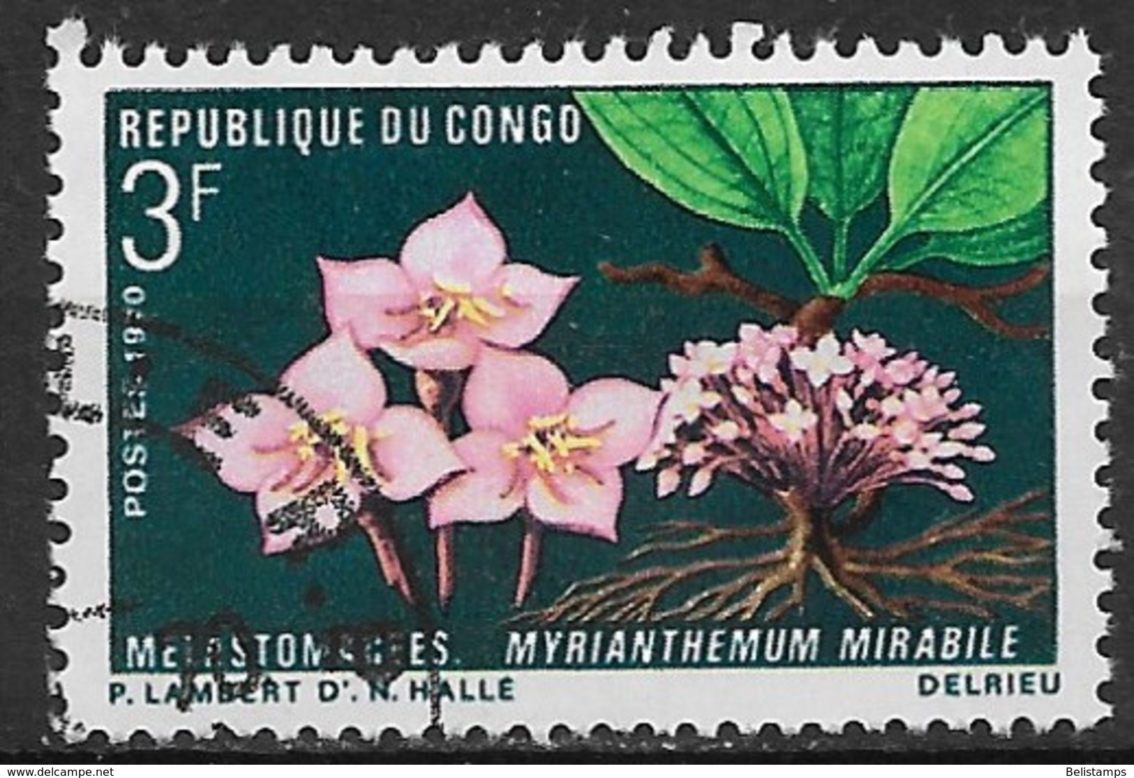Congo People's Republic 1970. Scott #224 (U) Flowers, Myrianthemum Mirabile - Oblitérés