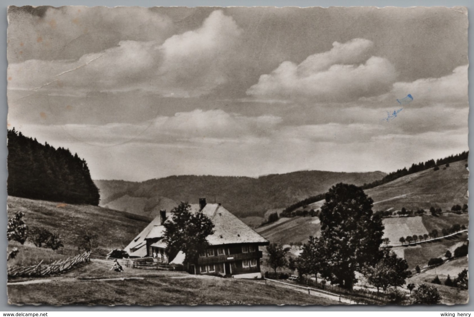 Todtnau Todtnauberg - S/w Pension Bader Kaiser - Todtnau