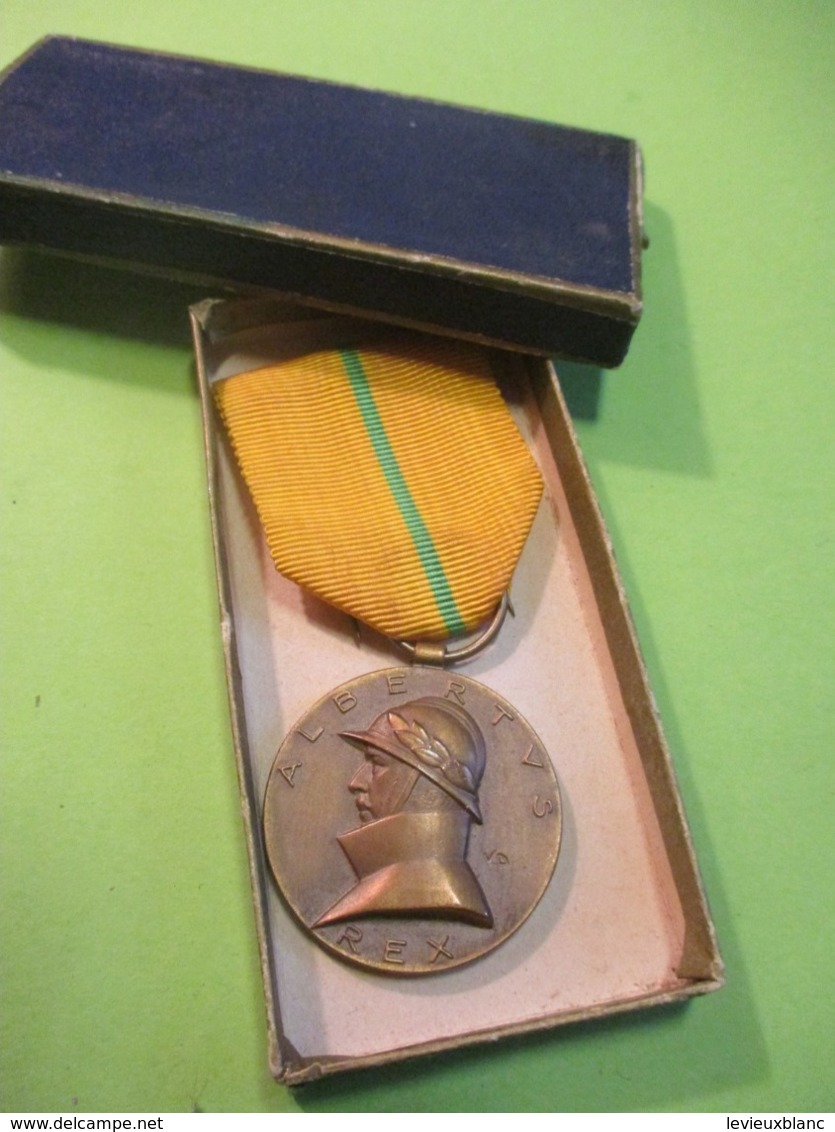 Médaille  Commémorative Belge / ALBERTUS  REX / 1909-1934/Fisch /1965-1975      MED340 - Belgique