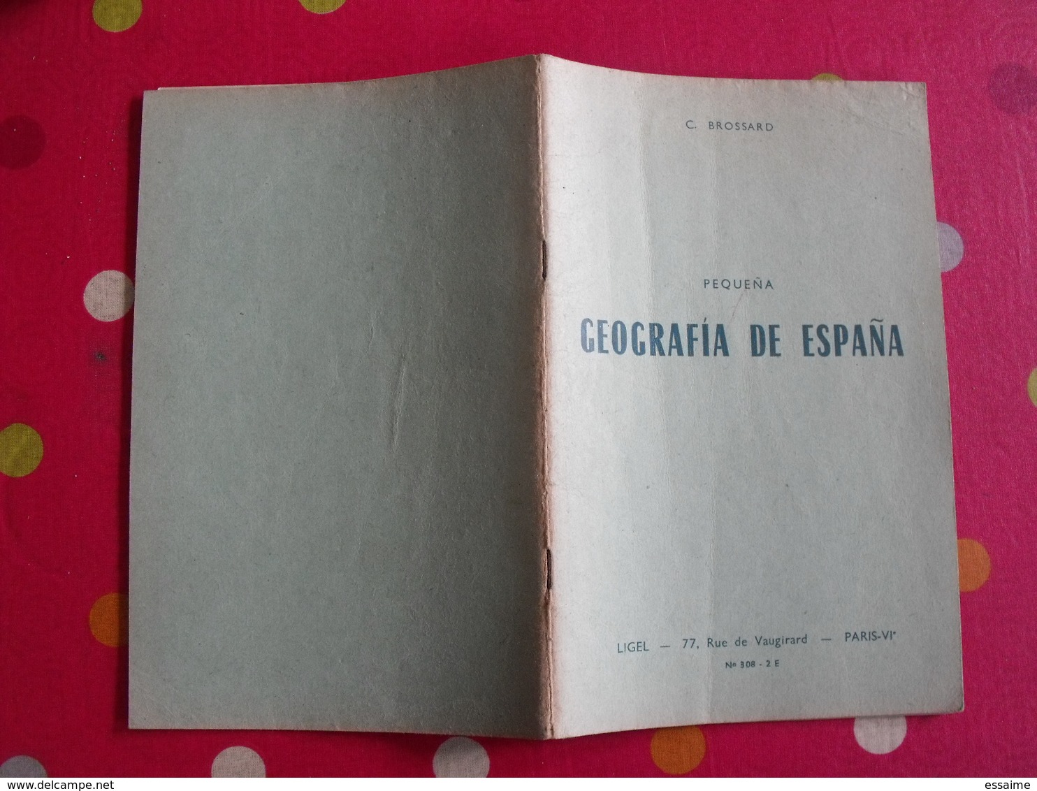 Lot De 11 Livres Scolaires Ou Pédagogiques En Espagnol. Espana. Espagne. Entre 1936 Et 1964 - Autres & Non Classés