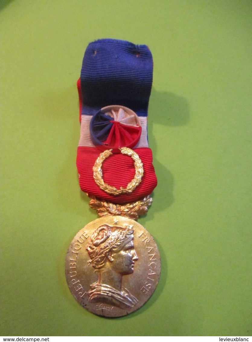 Ministère De L'Agriculture/Médaille Du Travail/République Française/Honneur Travail/Mme  TOPOLNISKI/A Borrel/1980 MED347 - Frankrijk