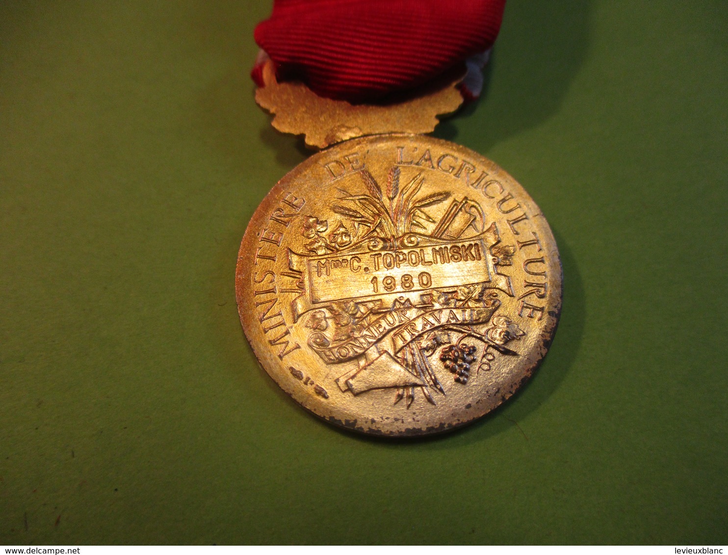 Ministère De L'Agriculture/Médaille Du Travail/République Française/Honneur Travail/Mme  TOPOLNISKI/A Borrel/1980 MED347 - Francia