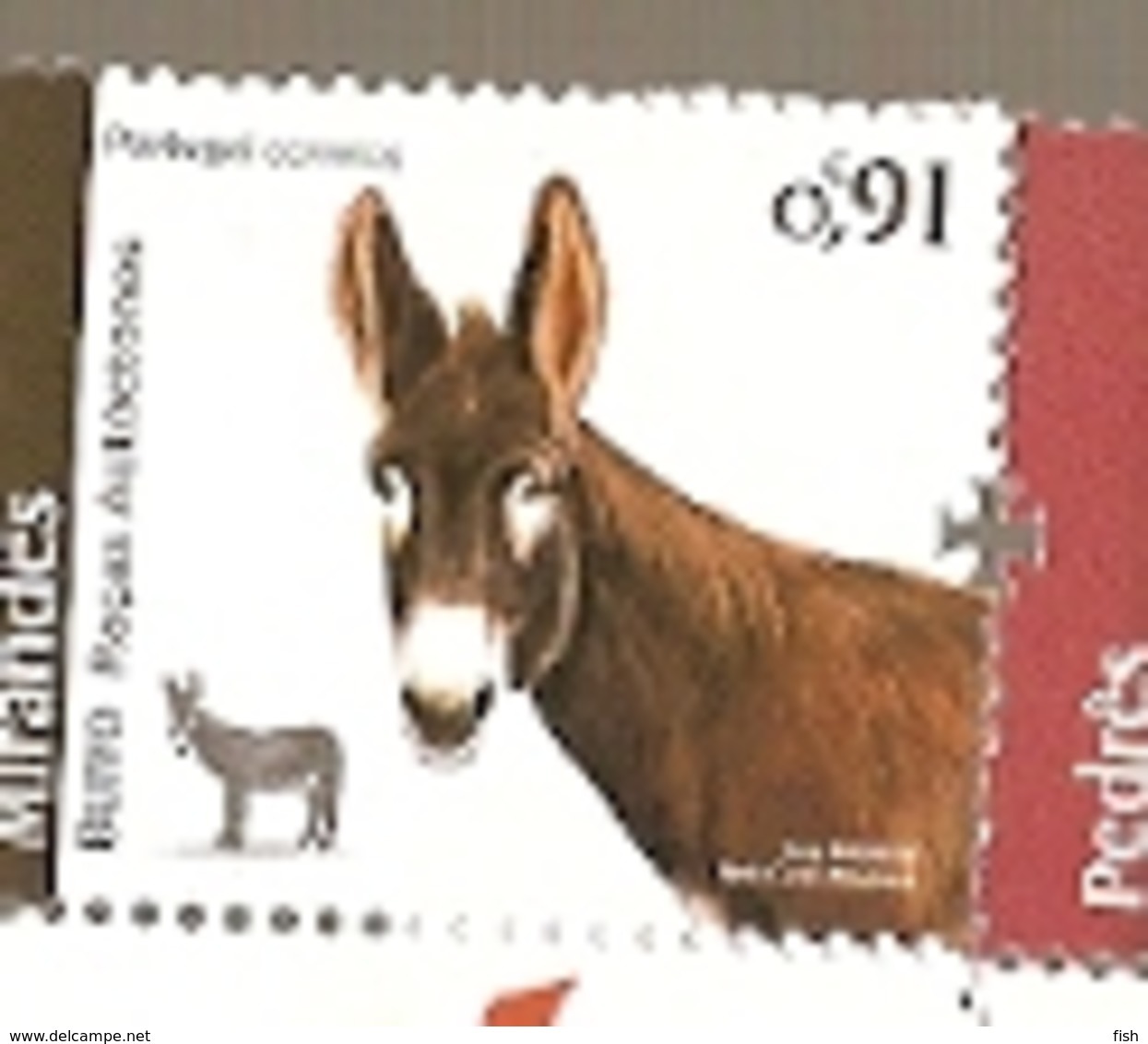 Portugal ** & Autochthonous Breeds Of Portugal, Mirandês Donkeys 2019 (5777) - Burros Y Asnos