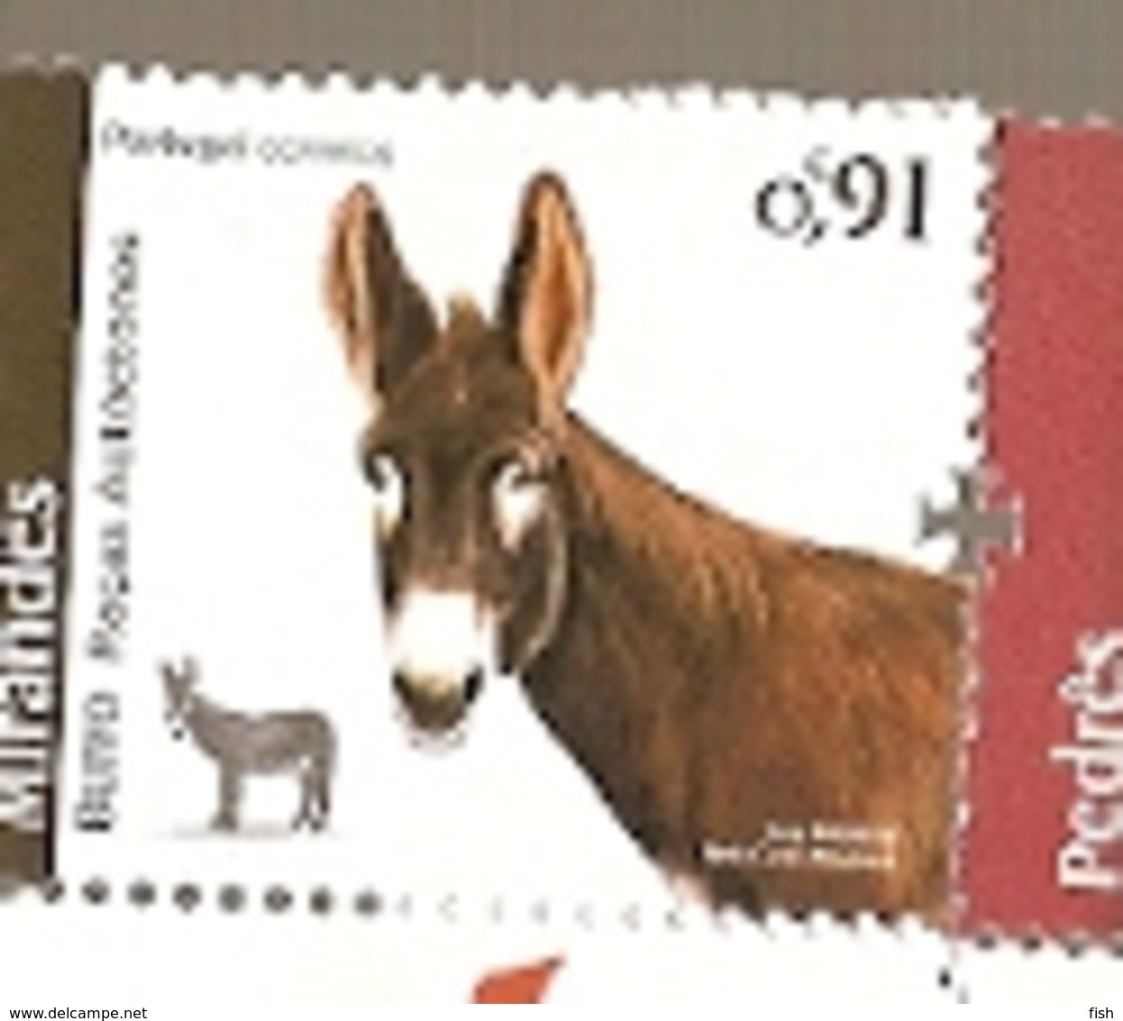 Portugal ** & Autochthonous Breeds Of Portugal, Mirandês Donkeys 2019 (5777) - Ezels