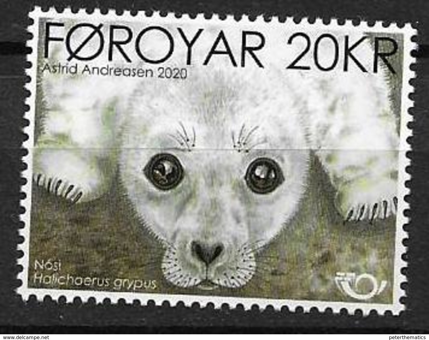 FAROES, 2020, NORDEN, FAUNA, SEALS, SEAL PUP,1v - Other & Unclassified