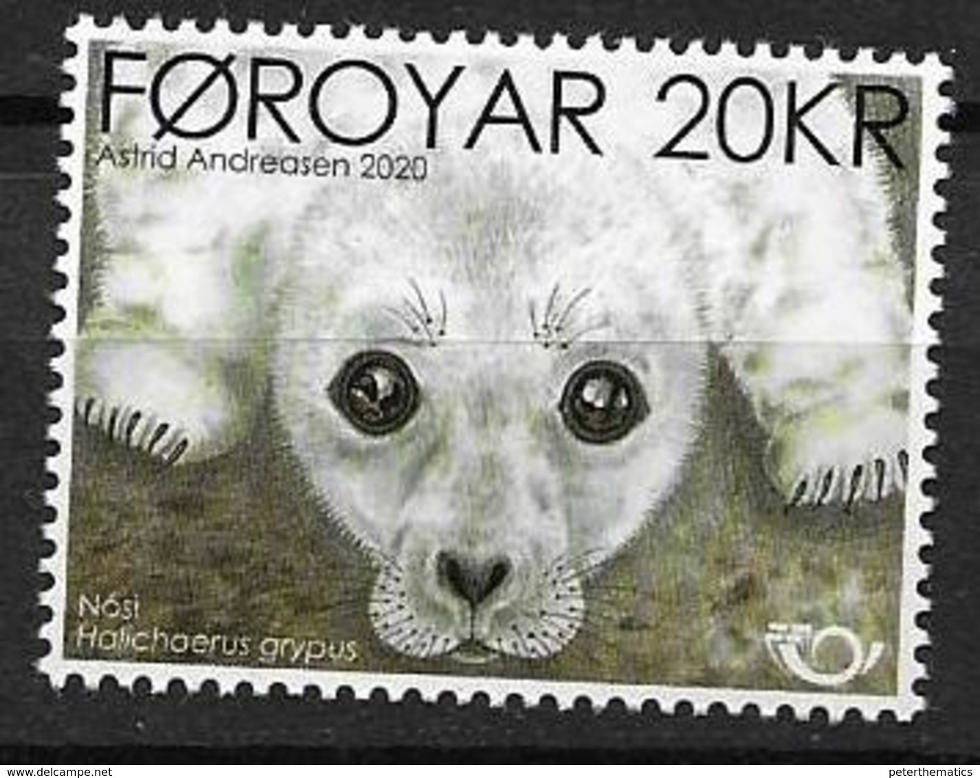 FAROES, 2020, NORDEN, FAUNA, SEALS, SEAL PUP,1v - Autres & Non Classés