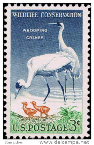 1957 USA Wildlife Conservation - Whooping Crane Stamp Sc#1098 Kid Wetland Cranes Bird Mother - Water