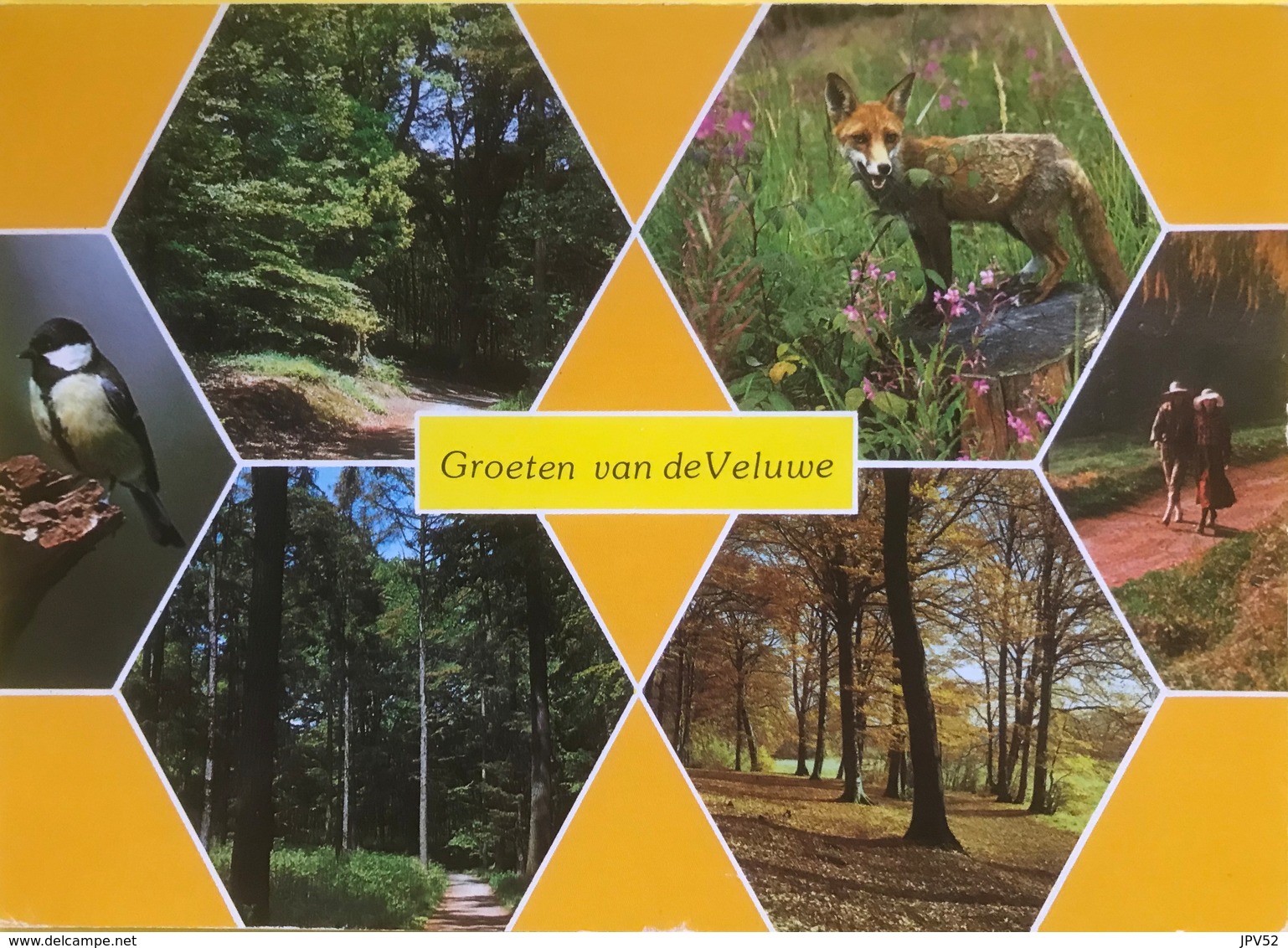 (3289) Groeten Van De Veluwe - Vos - Koolmees - Souvenir De...