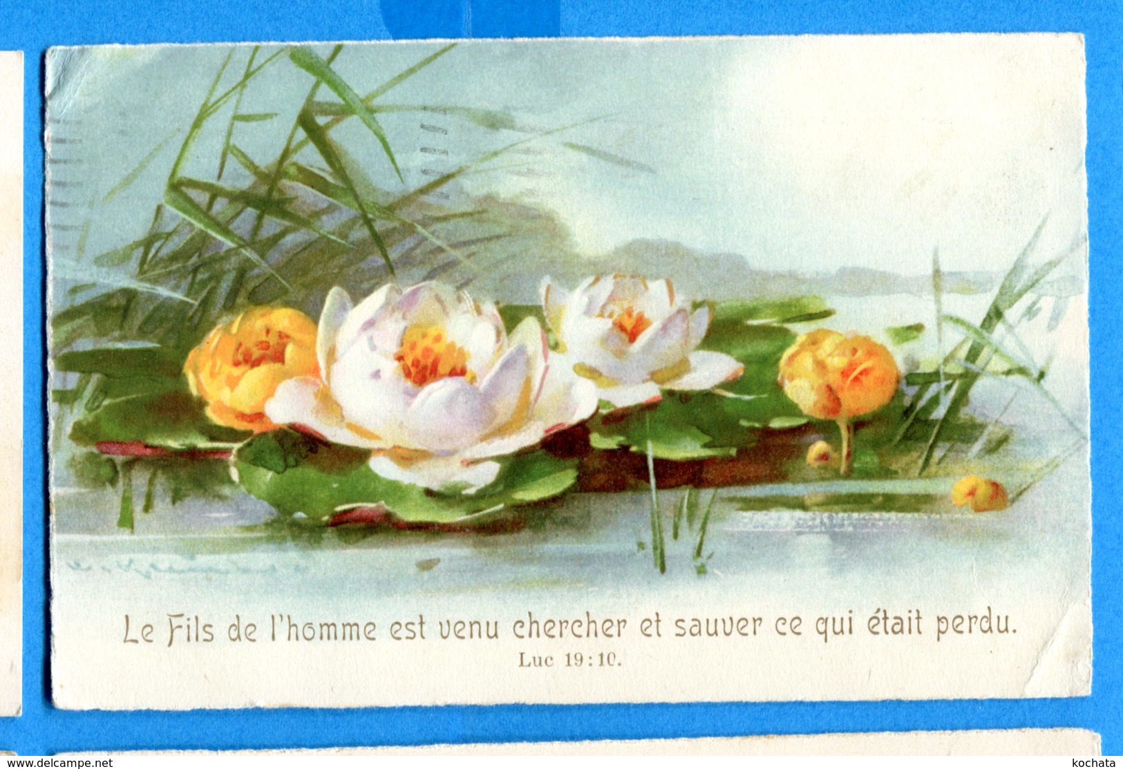 NY285, Nénuphare, Seerosenblatt, Lily Pad, Circulée 1930 - Blumen