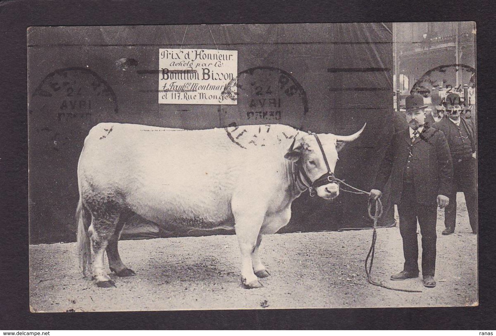 CPA Paris 75 Exposition Agriculture Concours  Circulé - Expositions