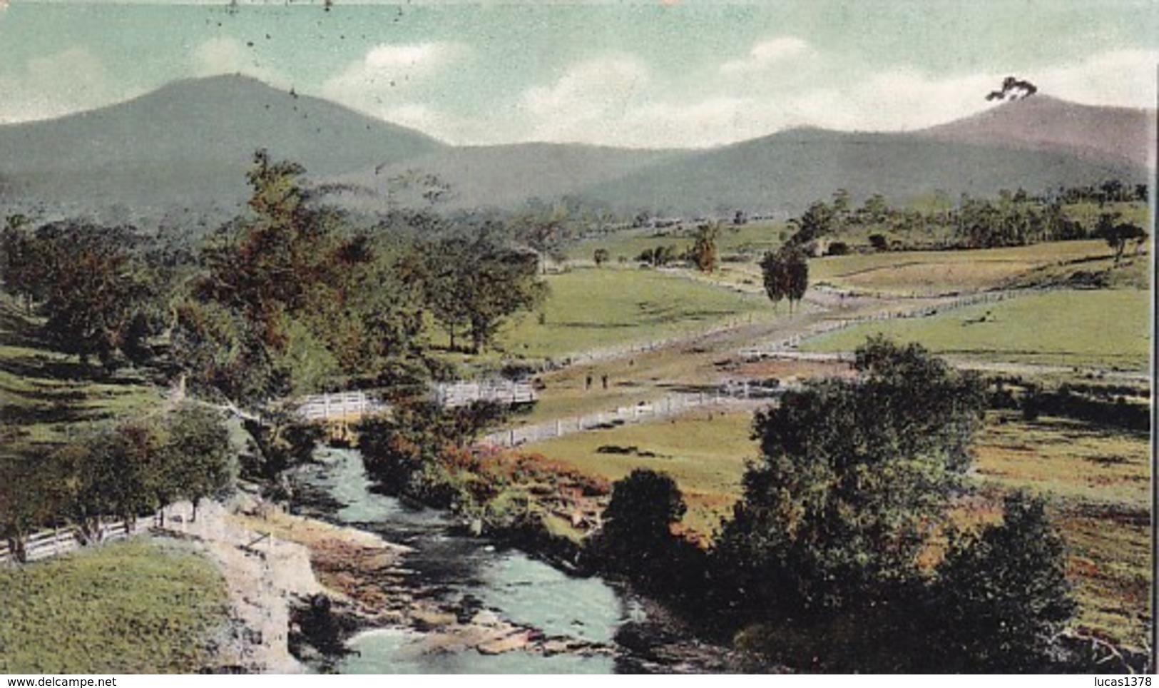 MOUNT TIMBERTOP MANSFIELD VICTORIA / RARE / CIRC 1908 - Sonstige & Ohne Zuordnung