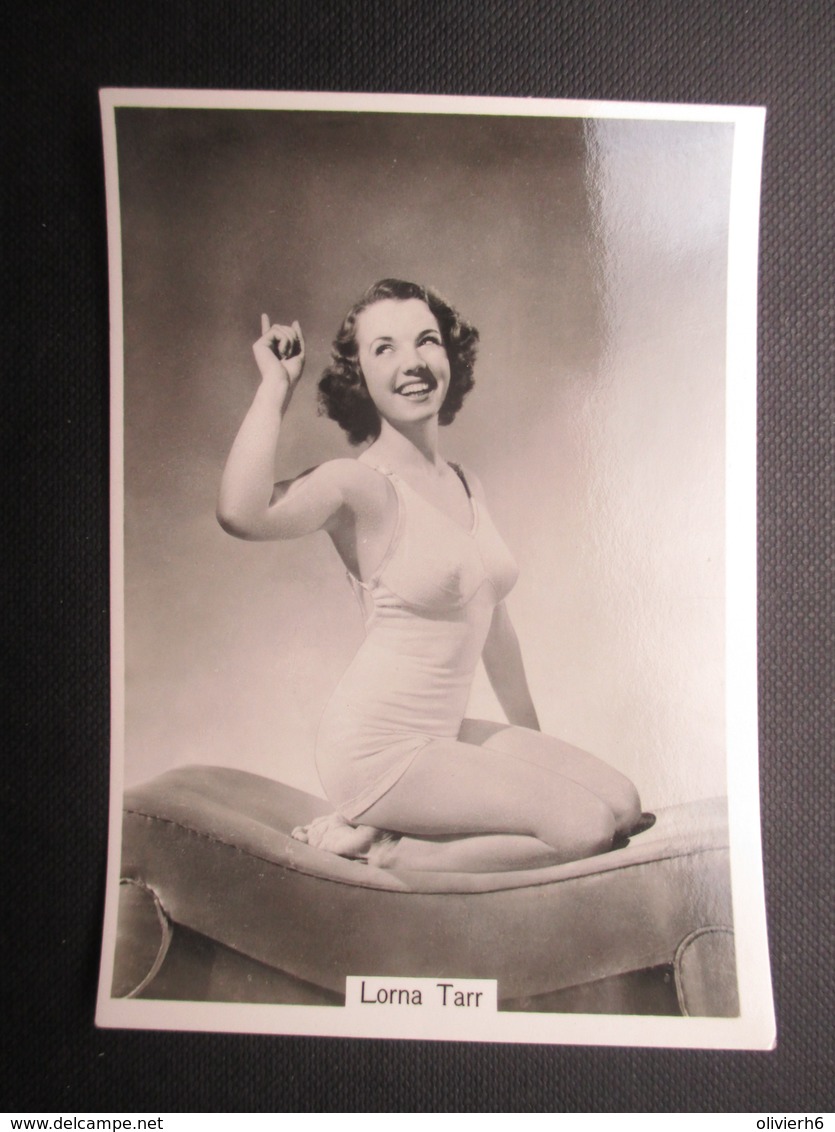 REAL PHOTO - PIN UP (V2004) LORNA TARR (2 Vues) N°06 BEAUTIES OF TO-DAY Sixth Series - Phillips / BDV