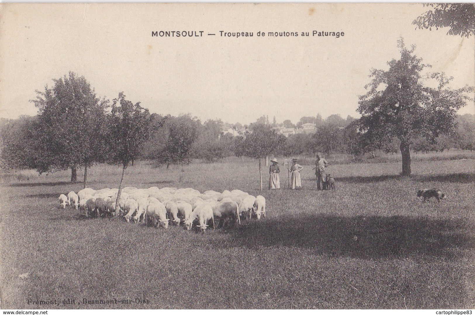 VAL D'OISE 95 MONTSOULT TROUPEAU DE MOUTONS PATURAGE - Montsoult