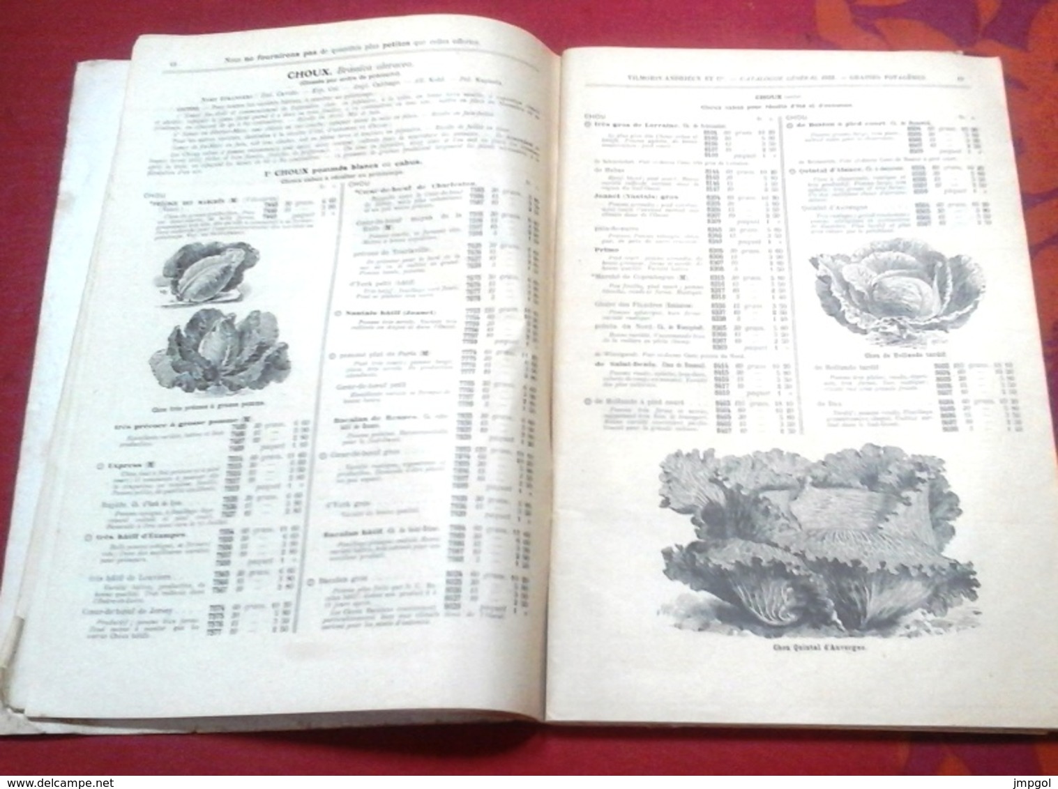 Catalogue Graines Semences Légumes Fleurs 1933 Vilmorin Andrieux Et Cie Quai De La Mégisserie - Tuinieren