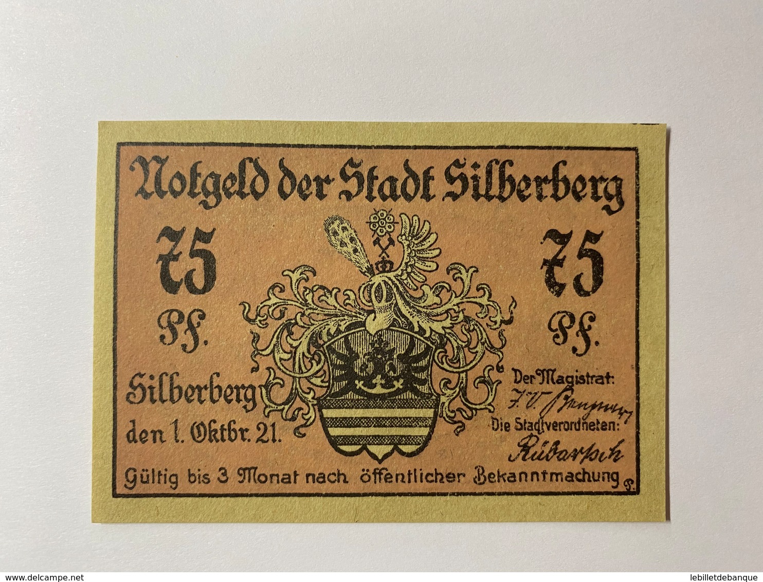 Allemagne Notgeld Silberberg 75 Pfennig - Collections