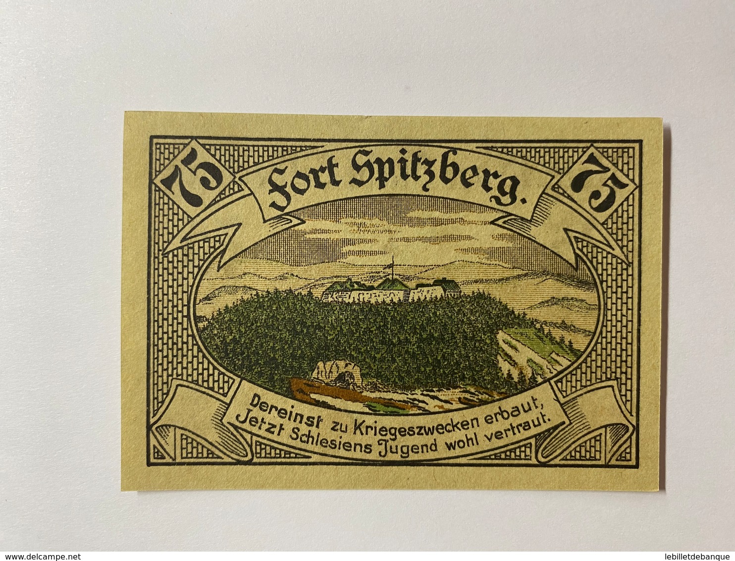 Allemagne Notgeld Silberberg 75 Pfennig - Collections
