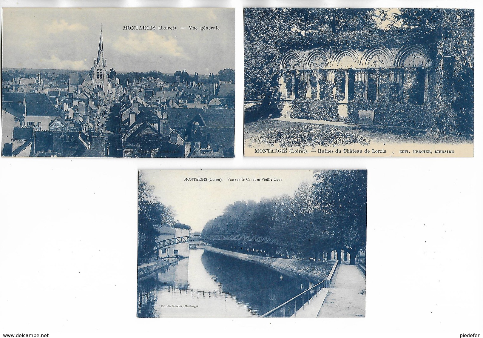 45 - Lot De 3 Cartes Postales Différentes De MONTARGIS. Cartes Bleutées. Voir Le Scan - Montargis