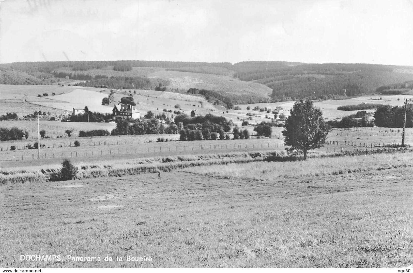 Dochamps (Belgique) - Panorama De La Bounire - Manhay