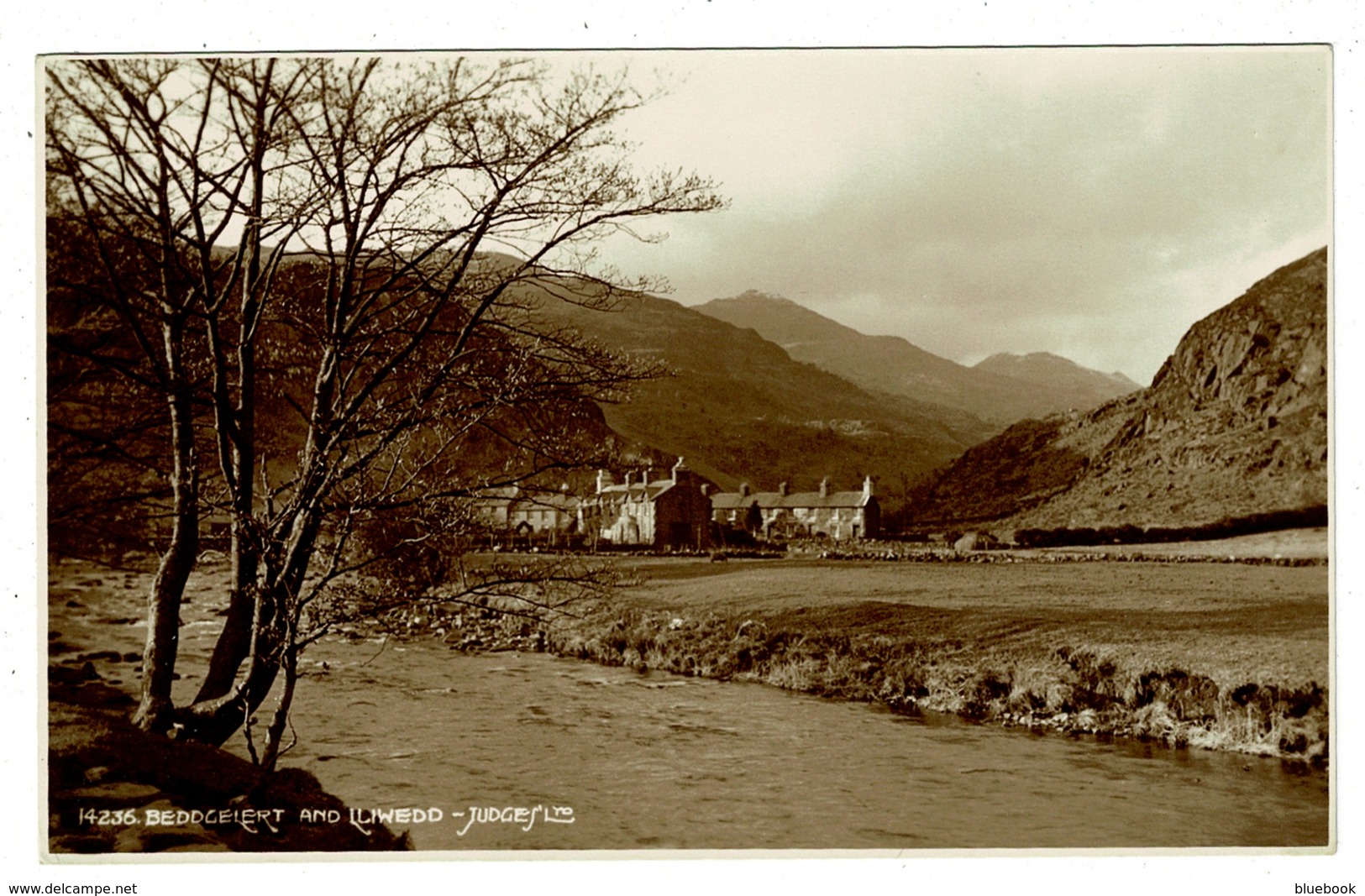 Ref 1341 - Judges Real Photo Postcard - Beddgelert And Lliwedd Caernarvonshire Wales - Caernarvonshire