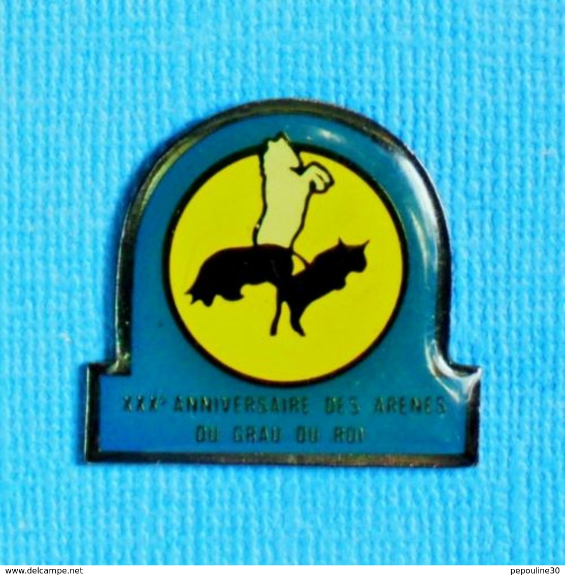 1 PIN'S //  ** 30ème ANNIVERSAIRE DES ARÈNES DU GRAU DU ROI / GARD / OCCITANIE ** - Feria - Corrida