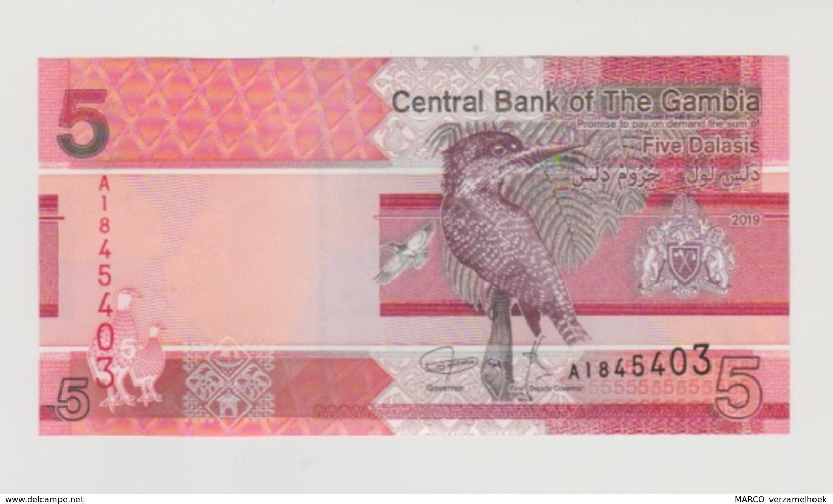 Banknote Central Bank Of The Gambia 5 Dalasis 2019 UNC - Gambia