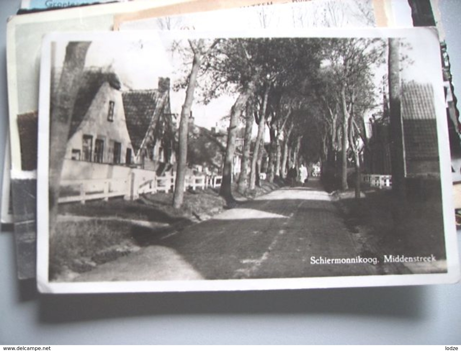 Nederland Holland Pays Bas Schiermonnikoog Middenstreek In 50-er Jaren - Schiermonnikoog