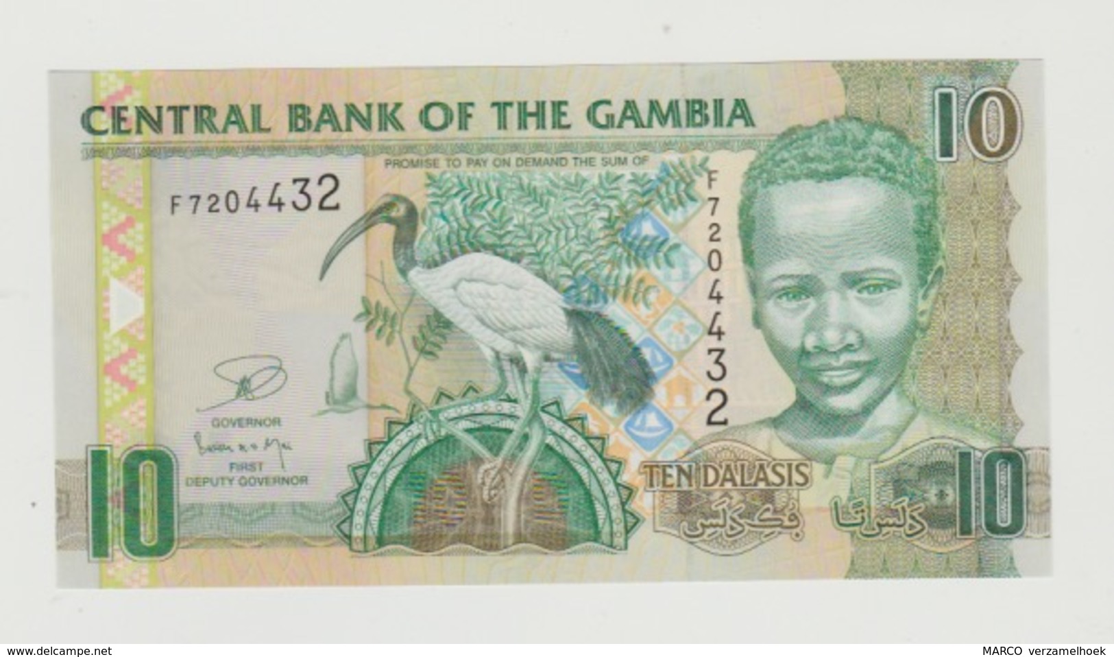 Banknote Central Bank Of The Gambia 10 Dalasis 2013 UNC - Gambia