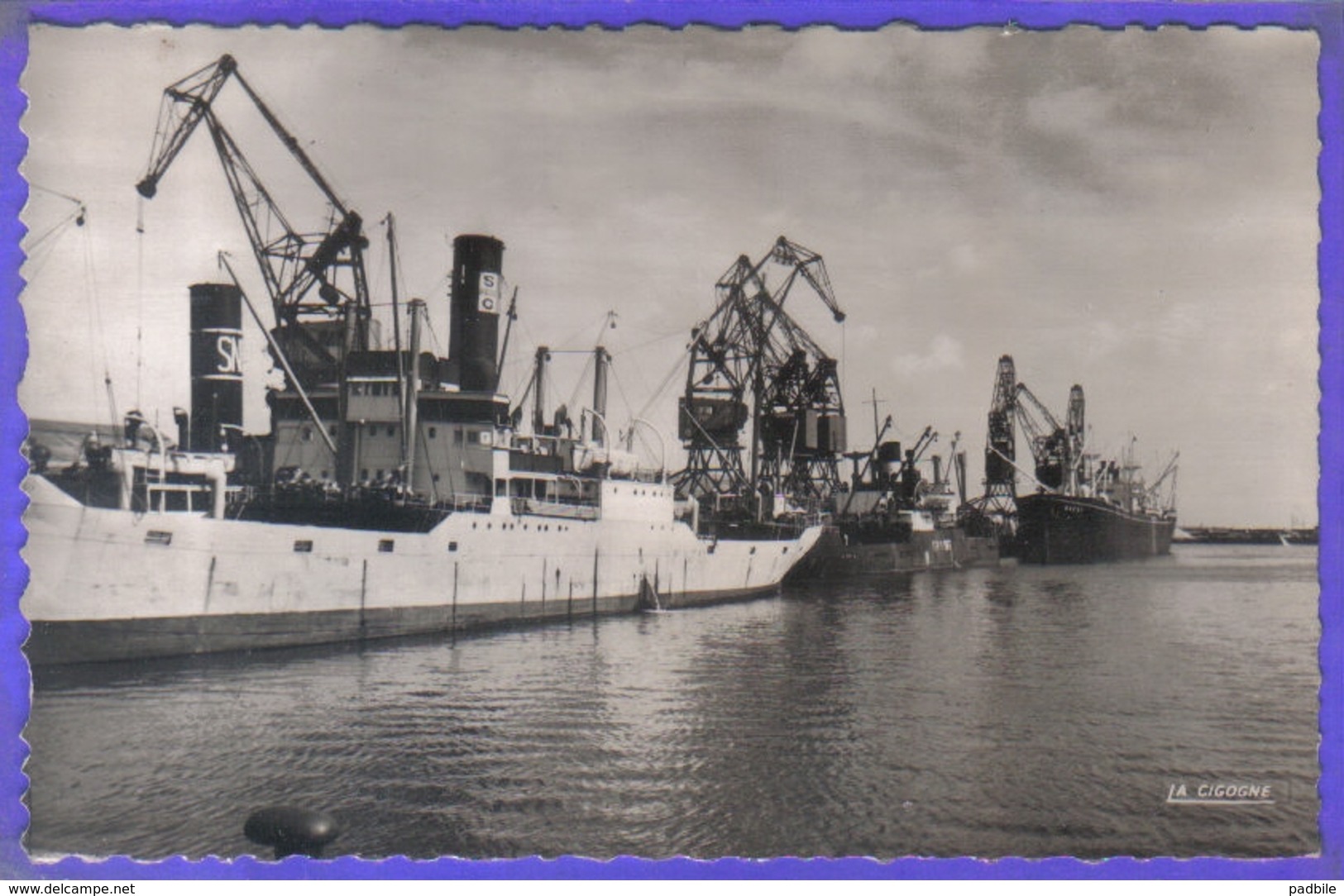 Carte Postale   59. Dunkerque Cargo Navires Marchands à Quai  Très Beau Plan - Dunkerque