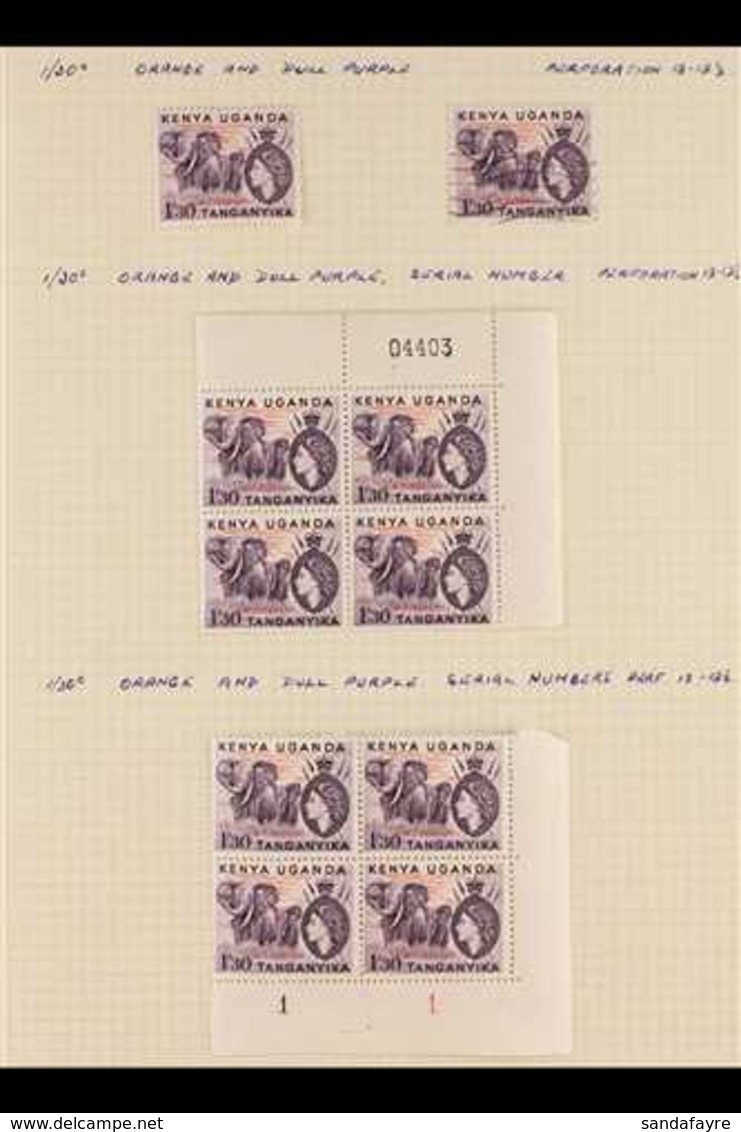1954-1963 INTERESTING COLLECTION With Some Specialization Such As Multiples, Plate Blocks & Retouches Written Up On Leav - Vide