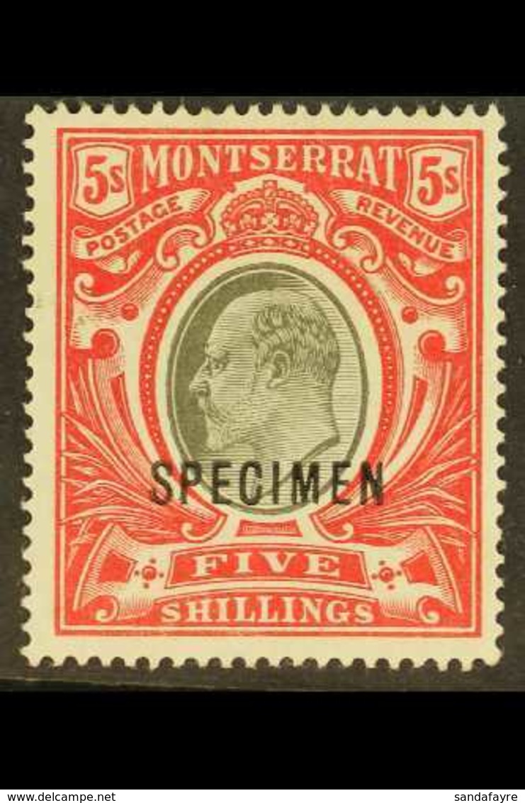 1903 5s Black And Scarlet, Wmk Crown CC, Opt'd "SPECIMEN", SG 23s, Very Fine Mint. For More Images, Please Visit Http:// - Montserrat