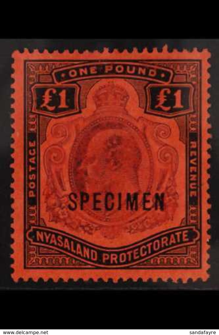 1908 £1 Purple And Black On Red, Ovptd "Specimen", SG 81s, Very Fine Mint. For More Images, Please Visit Http://www.sand - Nyasaland (1907-1953)