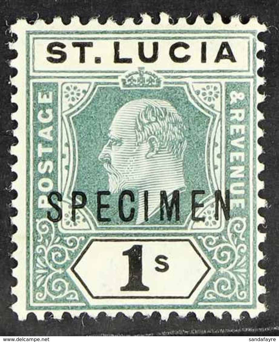 1902-03 1s Green And Black Wmk Crown CA With DAMAGED FRAME AND CROWN Additionally Overprinted "SPECIMEN", SG 62as, Very  - St.Lucia (...-1978)