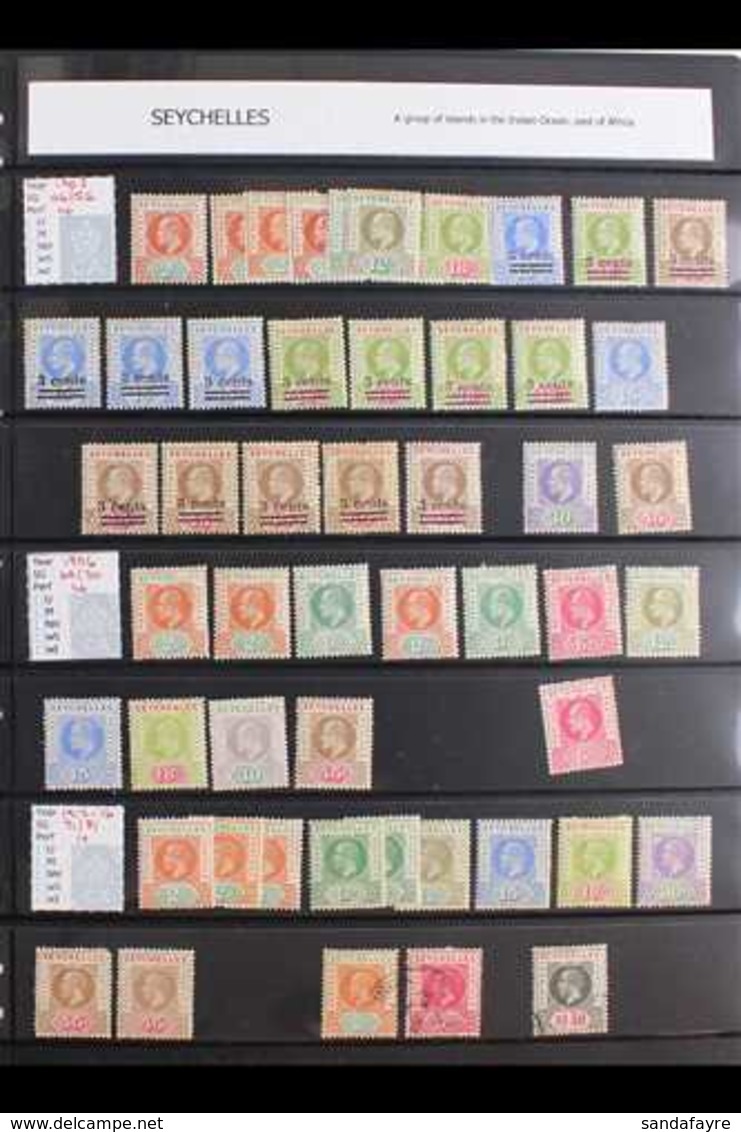 1890-1981 MINT COLLECTION / ACCUMULATION Neatly Presented In A Stock Book, We See 1890-2 Die I To 48c, Die II To 13c, 18 - Seychelles (...-1976)