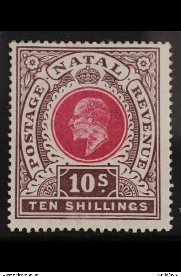 NATAL 10s Deep Rose And Chocolate, Ed VII, SG 141, Very Fine Mint. For More Images, Please Visit Http://www.sandafayre.c - Unclassified