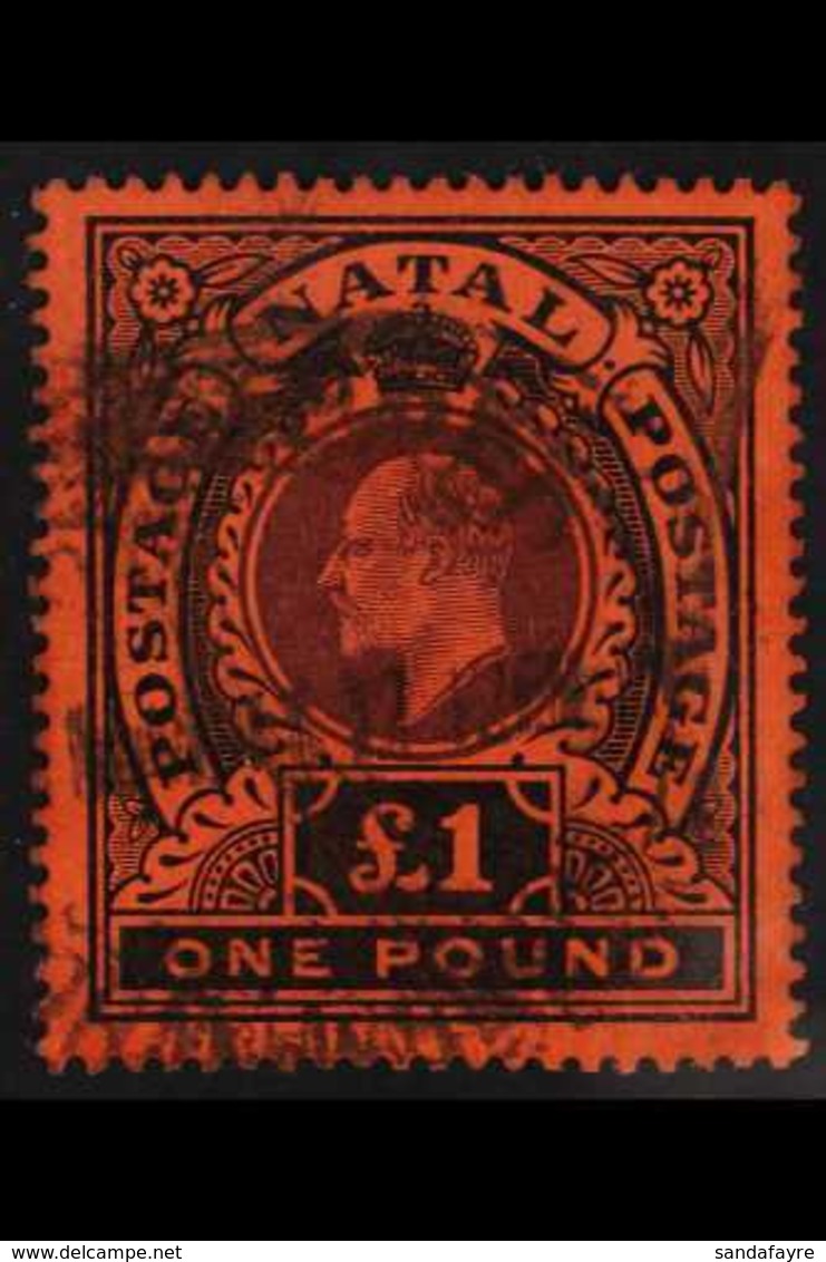 NATAL 1908-09 KEVII £1 Purple And Black / Red, SG 171, Fine Used With Unusual Rubber Registered Oval Pmk. For More Image - Unclassified