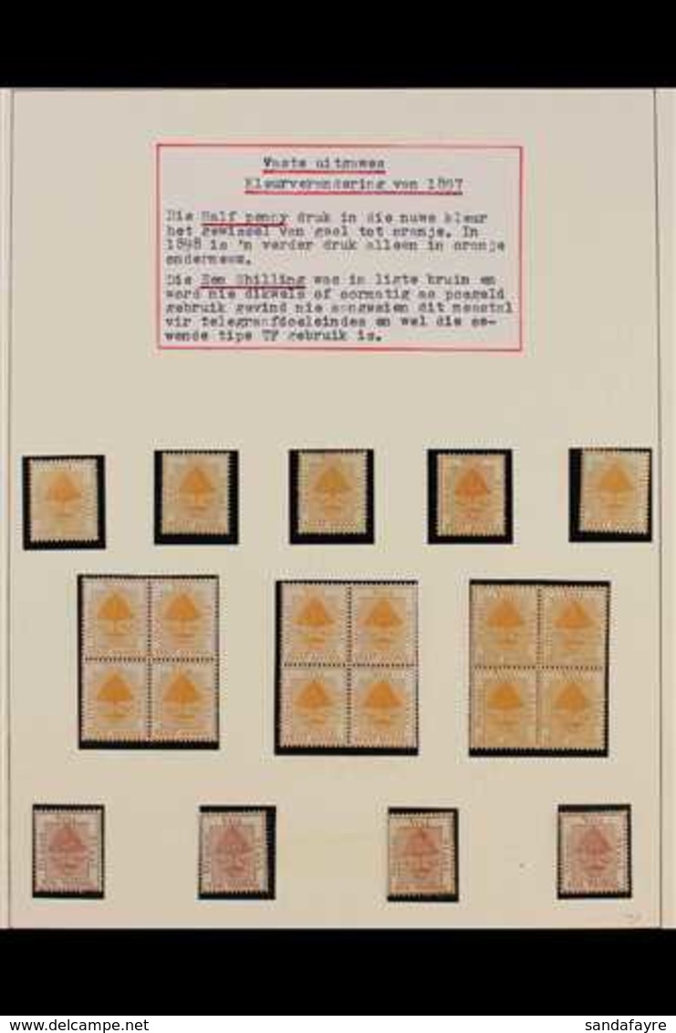ORANGE FREE STATE 1897 MINT COLLECTION In Hingeless Mounts On Pages, Includes 1897 ½d (x41, Incl Three Blocks Of 4 And O - Unclassified