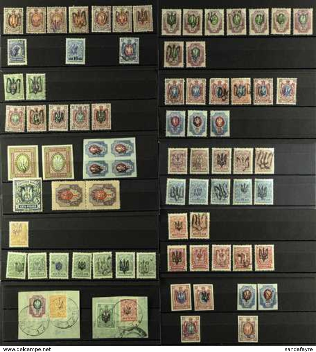 1918 LOCAL TRIDENT OVERPRINTS Mostly Fine Mint (some Never Hinged) Ranges Of Various Types On Various Perf & Imperf Stam - Ukraine