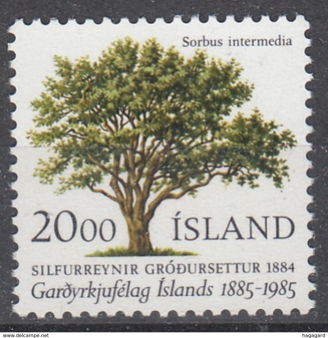 +Iceland 1983. Tree. Michel 634. MNH(**) - Ungebraucht